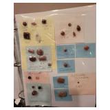 Binder Collection of Assorted Loose Gemstone Cabochons and Cut Stones