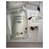 Collection of Handmade Gemstone Earrings and Jewelry by Gemstone Expressions