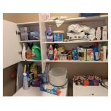 Household Cleaning Supplies and Laundry Care Lot