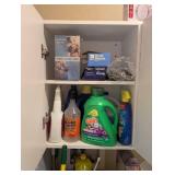 Household Cleaning Supplies and Laundry Care Lot
