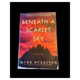 Book Lot Mixed Novel Collection