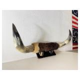 Large Western Cattle Horn Wall Display Rack Large Western Cattle Horn Wall Display Rack