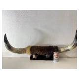 Large Western Cattle Horn Wall Display Rack Large Western Cattle Horn Wall Display Rack