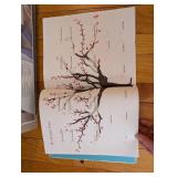 Archiver's Deluxe Scrapbook Starter - Grandmother's Journal & Travel Scrapbooking Supplies in Tub