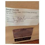 Joseph Bayol Framed Garden Print - Yellow Daisies in Bloom, Gold Frame