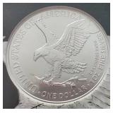 2021(S) 1 oz American Silver Eagle - NGC MS69