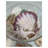 Seashell Assortment #1 Seashell Assortment #1