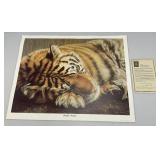 Unframed GAIL ADAMS 'Sleepin' Beauty' Tiger Print With COA 23' x 29' Unframed GAIL ADAMS 'Sleepin' Beauty' Tiger Print With COA 23' x 29'