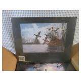 (BS) Case of 8 New Wild Fowl of Nor... (BS) Case of 8 New Wild Fowl of Nor...