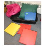 ECFE - snow sled, 4 seat cushions, bean bag chair and pillow