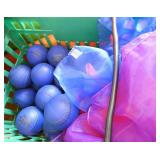 GymS- velcro mits, soft baseballs and flags, yoga mats