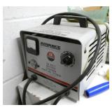 Custodian - 24V battery charger
