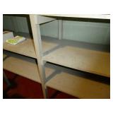 Basement storage room full of shelving