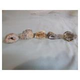 5 Oco Geodes 5 Oco Geodes