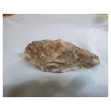 Piece of Petrified Wood Piece of Petrified Wood