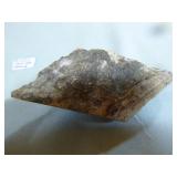 Piece of Petrified Wood Piece of Petrified Wood