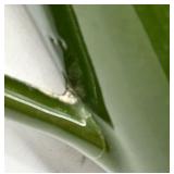 Vintage Hall China Olive Green Teapot Set - Made in USA