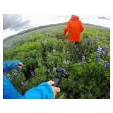 GoPro Camera Karma Grip (GoPro Official Accessory) NO CAMERA