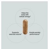 NEW Shroom Tech® Sport - Daily Exercise Support - 84 Capsules