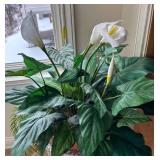 SR - Asian Style Ceramic Vase with Gold Floral Pattern and Faux Greenery SR - Asian Style Ceramic Vase with Gold Floral Pattern and Faux Greenery