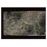 Wood Desk Box Poker Set with Cards & Pen - Marble Ashtray, Planter with Faux Greens & Leather Coasters Wood Desk Box Poker Set with Cards & Pen - Marble Ashtray, Planter with Faux Greens & Leather Coasters