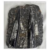 MA - Orthoceras Fossil Slab - Rock Specimen