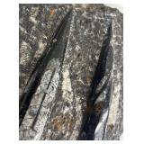 MA - Orthoceras Fossil Slab - Rock Specimen