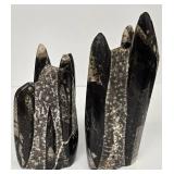 Marble Towers With Orthocerous Fossils