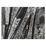 MP - Orthoseras Fossils Marble Slab - 8.5 x 9.5 in Natural Display Piece