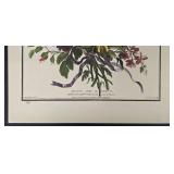 The Hammer Museum Floral Bouquet Prints (Lot of 4)