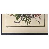 The Hammer Museum Floral Bouquet Prints (Lot of 4)