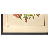The Hammer Museum Floral Bouquet Prints (Lot of 4)