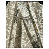 Orthoceras Fossil Slab 8x6 in - Cone-Shaped Cephalopod Shells in Gray Matrix