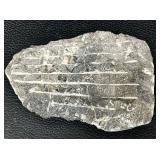 Orthoceras Fossil Slab 8x6 in - Cone-Shaped Cephalopod Shells in Gray Matrix