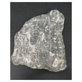Orthoceras Fossil Slab - Multiple Cones in Gray Limestone Matrix