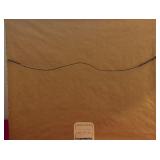 Reliance vs Shamrock III - 1903 Framed Print