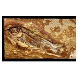 Soapstone Buddha Figurine & Fossil Fish Slab