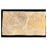 Soapstone Buddha Figurine & Fossil Fish Slab