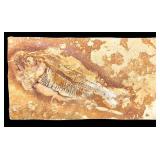 Soapstone Buddha Figurine & Fossil Fish Slab