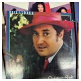 Large collection of vintage music vinyl records featuring artists like Laura Branigan and The Ink Spots