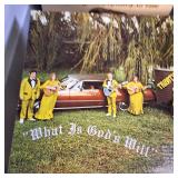 Very Large Lot of LP's - Vintage - Elvis Presley and  Too many to list!