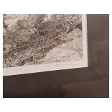 Carl Brenders 'Canadian Lynx Triptych' and two other prints