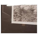 Carl Brenders 'Canadian Lynx Triptych' and two other prints