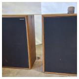 American Acoustics Vintage pair of speakers