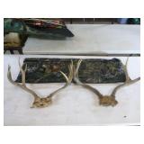 Deer Antlers and Shooting Mat