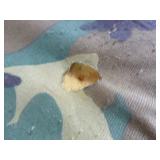 Pearson Ultra Compound Bow with Case