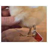 Taxidermy Duckling by Golden Leaf (Shanghai China)