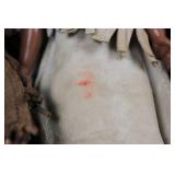 4-Piece Native American Fringe Dolls - Beaded Cloth Outfits, Made in Japan 4-Piece Native American Fringe Dolls - Beaded Cloth Outfits, Made in Japan