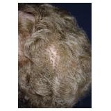 Vintage Fashion Doll - Pink Lace Gown With Sequin Overlay & Pearl Necklace Vintage Fashion Doll - Pink Lace Gown With Sequin Overlay & Pearl Necklace