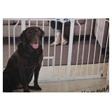 Top Paw Extra-Wide Walk-Through Pet Gate with Small Pet Door - 29-62 in Wide Top Paw Extra-Wide Walk-Through Pet Gate with Small Pet Door - 29-62 in Wide